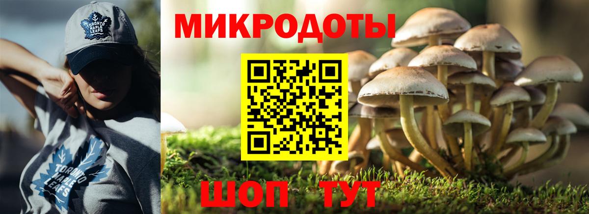 Якутск  Псилоцибиновые грибы мицелий  Вход с VPN 
